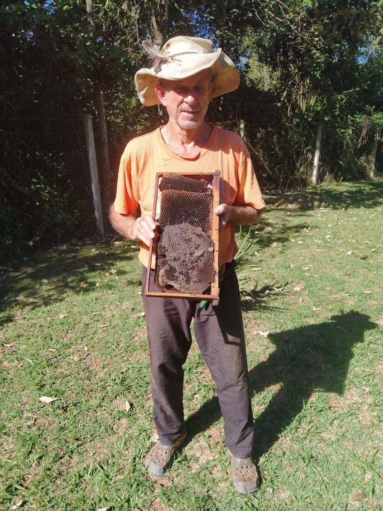 Home igor-bees